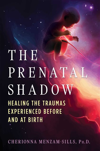 The Prenatal Shadow Healing the Traumas Experienced before and at Birth